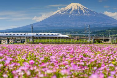 Shizuoka, Japonya - 05 Mayıs 2017: Mt. Fuji ve bahar, Shibazakura yoluyla Jr Shinkansen ulaşım. Tokyo ve Osaka Japonya Demiryolları şirketi tarafından işletilen arasında N700 kurşun tren aktarım.