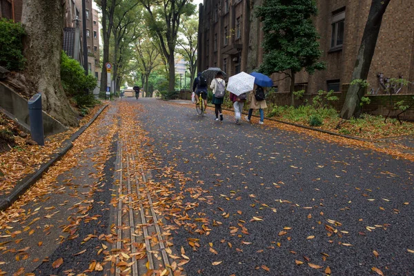 Footpath with falling autumn leaf and students background at University of Tokyo, Japan. Here, called Todai, is the first ranked research university in Asia.