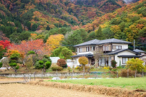 Japanisches Haus Der Nähe Von Gebirgstal Mit Wunderschönem Herbstlaubbaum Kawaguchiko — Stockfoto