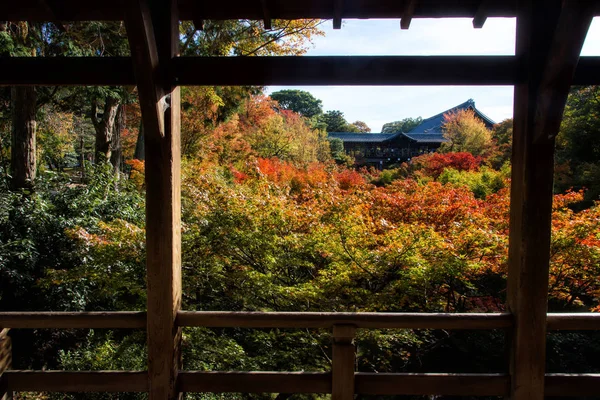 Jardín Follaje Otoño Templo Tofukuji Durante Temporada Otoño Noviembre Kyoto —  Fotos de Stock