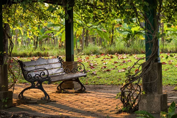 夕日の光に照らされた緑地公園には木製のベンチ椅子 — ストック写真