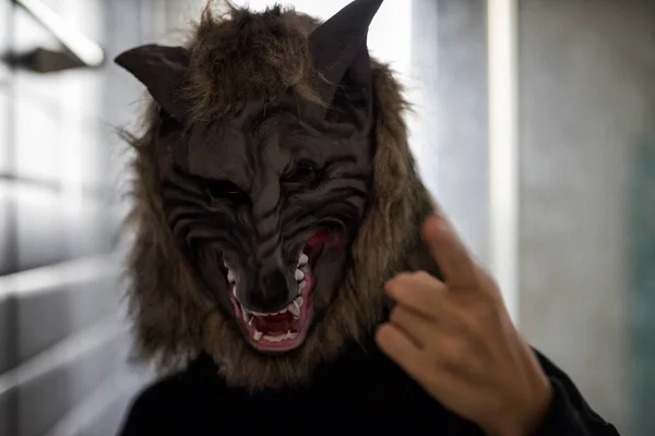 Angry woman or man with wolf mask costume in dark room point finger to threat with rim light from window. Scary model for Halloween concept with copy space for text.