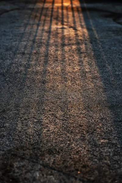 Sunrise light and shade on footpath — Stock Photo, Image