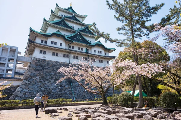 Sakura flor flotando en el castillo de Nagoya — Foto de Stock