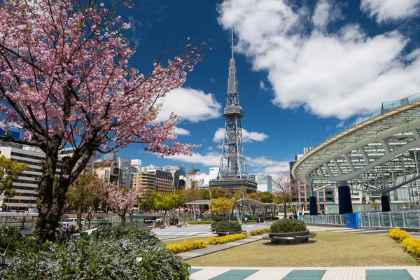 Oasis21 e torre de TV com flor Sakura, Nagoya — Fotografia de Stock