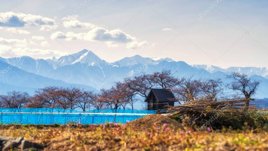 Farm and wooden house with alps, Matsumoto