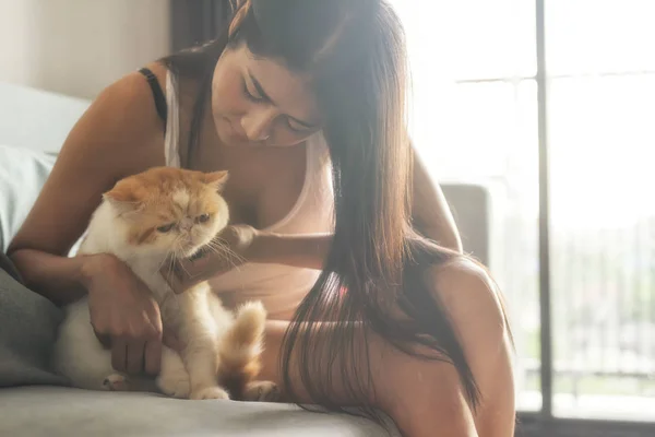 Mulher relaxar com exótico gato shorthair — Fotografia de Stock