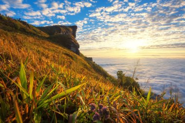 Phu Chi Fa gündoğumu, Chiang Rai