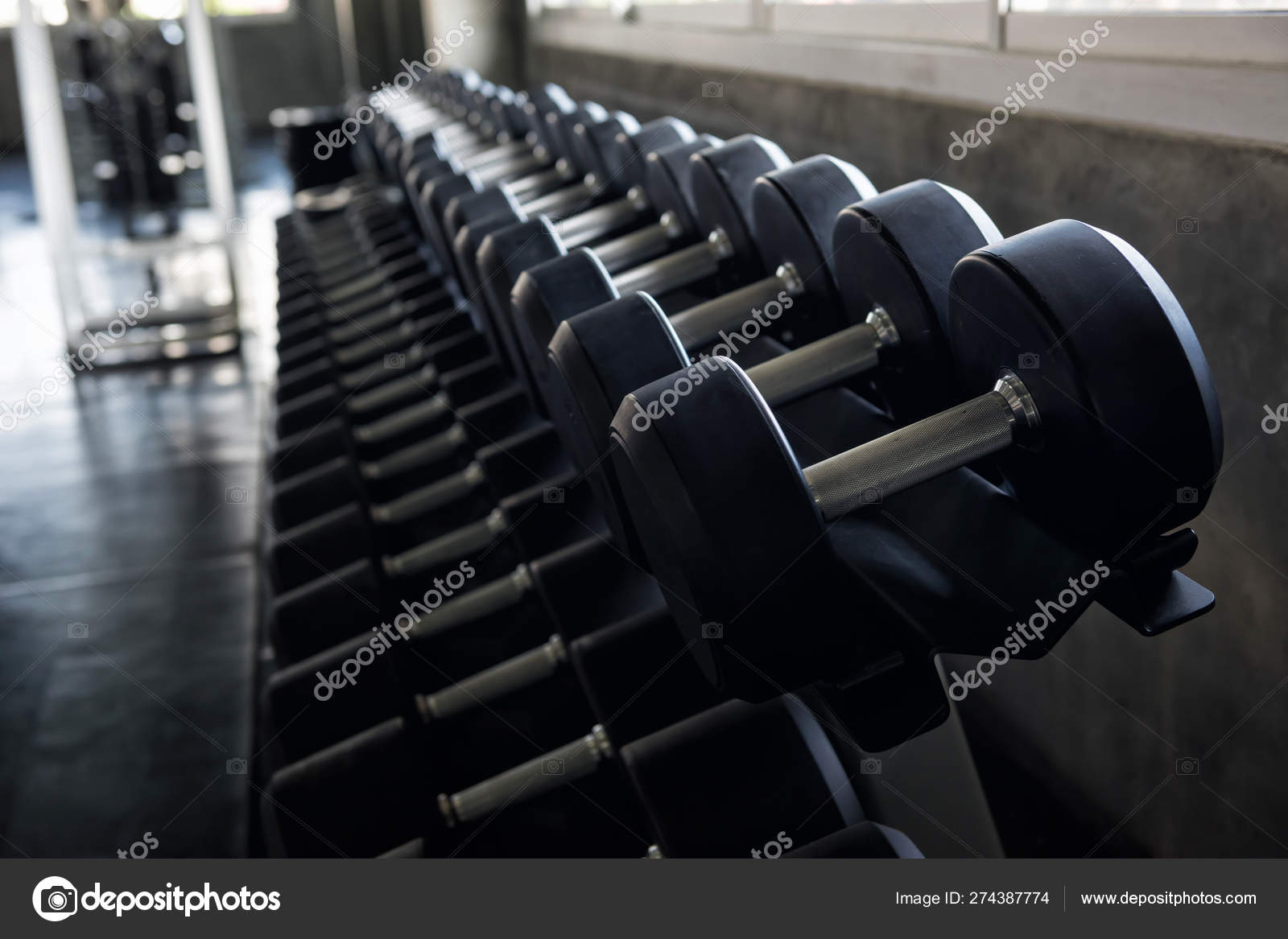 fitness dumbbell set