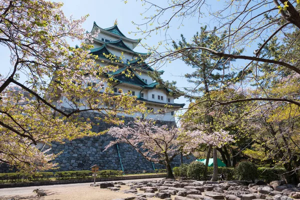 Flor de cerezo o sakura en el castillo de Nagoya — Foto de Stock
