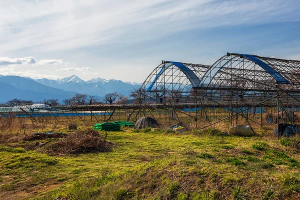 农场与中央阿尔卑斯山， 松本 — 图库照片