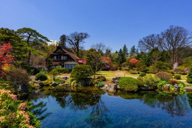Bahar bahçesi ve Fuji dağı ile Japon evi