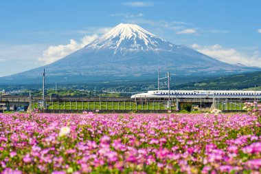 Fuji Dağı'nda Shinkansen mermi treni