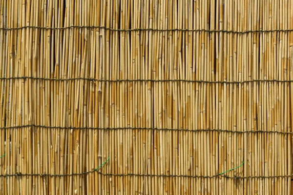 Sárga bambusz függöny, fából készült háttér — Stock Fotó