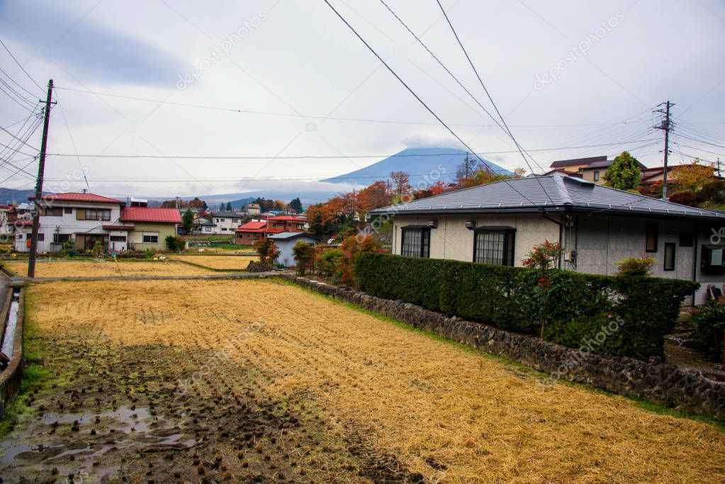 Japanese houses in autumn with mountain Fuji