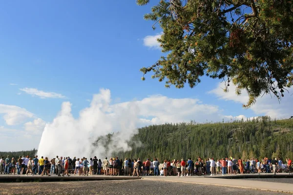 Starý věrný gejzír erupce v Yellowstone — Stock fotografie