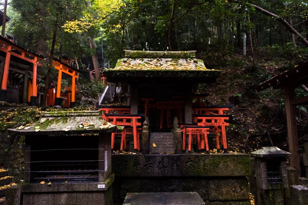 Portas Torii no santuário Fushimi inari, Kyoto — Fotografia de Stock