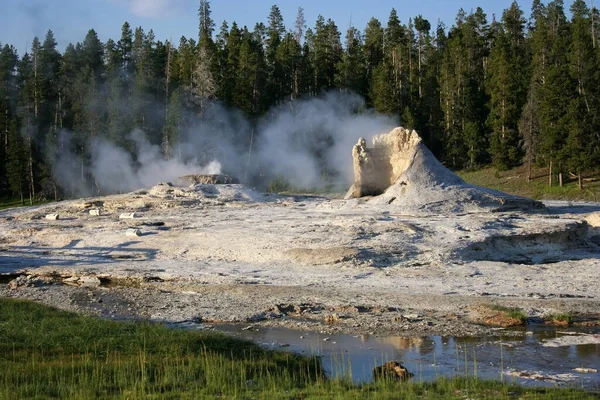 Vapor Água Percolando Upper Basin Chamado Gigante Geyser Longo Continental — Fotografia de Stock