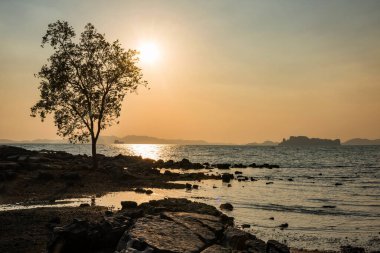 Klong Muang 'daki Koh Kwang adasında ve Tayland, Krabi' deki Tub kaek plajında gün batımına karşı ağaç ağaç. Covid-19 'dan sonra ünlü bir seyahat yeri. Ufuk çizgisi yansımalı deniz manzarası.