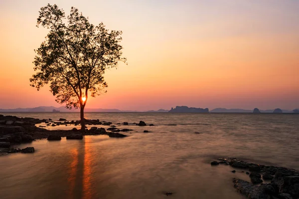 Stojící Strom Západ Slunce Pohyb Vln Umění Soumrak Ostrova Kwang — Stock fotografie