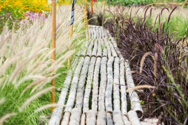 Bahar bahçesi parkındaki bambu patikasında bir sürü çim ve çiçek var.
