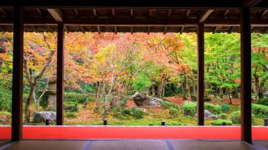 Enkoji Tapınağı Japon Bahçesi, Kyoto, Japonya 'da sonbahar akçaağaç renklerinin güzel manzarası. Seyahat, dönüm noktası, mevsimlik istikamet, manzara konsepti