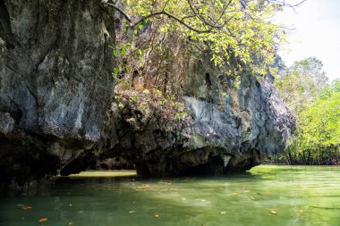 Tayland 'da Phang Nga Ulusal Parkı' nda kano sürerken Karst oluşumları ve andaman denizi manzaraları. Güney Tayland 'ın ünlü seyahat etkinliği.