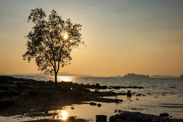 Silueta Stromu Mořského Mysu Andamanského Moře Proti Západu Slunce Ostrově — Stock fotografie