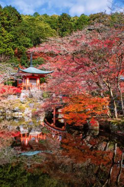 Daigo-ji ya da Diagoji Tapınağı 'ndaki Pavilion tapınağı. Renkli bir sonbahar bahçesi ve gölet kenarında mavi gökyüzü, Kyoto, Japonya. Aralık ayında Kansai 'de turist gezisi.