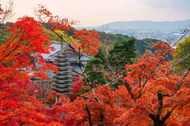 Kiyomizu-dera pagoda ve kırmızı akçaağaç yapraklı tapınak ve şehir, Kyoto, Japonya. Tapınağın canlı kırmızı ve turuncu pagoda rengarenk yapraklarıyla göze çarpıyor. Manzaralı güzelliği arttırıyor..