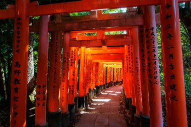 Sonbaharda Fushimi Inari Taisha Tapınağı 'nda Japonca yazılı 1000 Torii kapısı. Aralık ayında Kansai turistleri için en iyi tatil yeri, Kyoto, Japonya.
