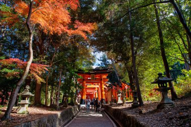 Turistler ormanın sonbahar ağaçlarının yanındaki büyük Torii Kapısı 'nda. Japonya 'nın başkenti Kyoto' da aralık ayında binlerce Torii Gates 'in varış noktası.