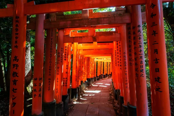 Sonbaharda Fushimi Inari Taisha Tapınağı 'nda Japonca yazılı 1000 Torii kapısı. Aralık ayında Kansai turistleri için en iyi tatil yeri, Kyoto, Japonya.