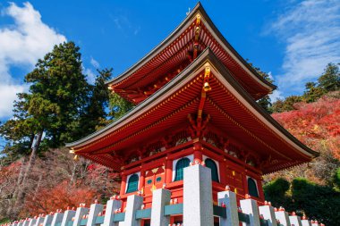 Mavi gökyüzü ve Japonya 'nın Minoh, Osaka kentindeki Katsuo-ji Tapınağı' nın sonbahar yeşillik bahçesine karşı kırmızı pagoda 'nın Daruma figürü. Sonbaharda Kansai 'yi görmek için seyahat yeri. Zafer tapınağı.