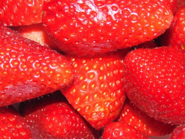 Garip taze ve kırmızı domates.