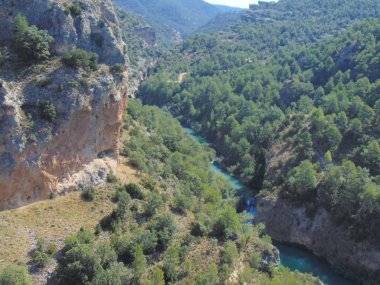 Manzara bir nehrin ortasında bir orman Cuenca, İspanya.
