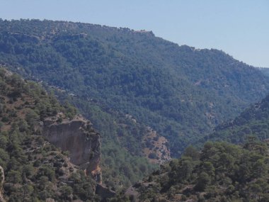 Manzara bir nehrin ortasında bir orman Cuenca, İspanya.