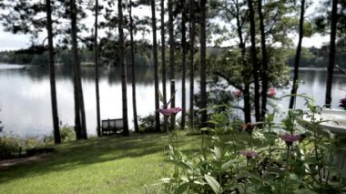 Dev swallowtail kelebek yok onun en sevdiği çiçek gölün etrafında bir çember sonra toprakları.