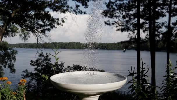 水被倒入鸟浴在湖前面在慢动作 — 图库视频影像