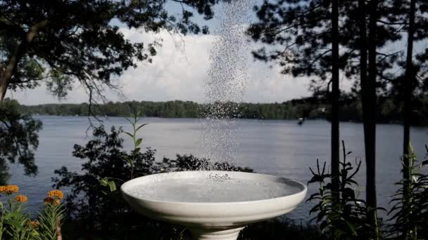 Agua Que Vierte Baño Aves Frente Lago Cámara Lenta — Vídeos de Stock