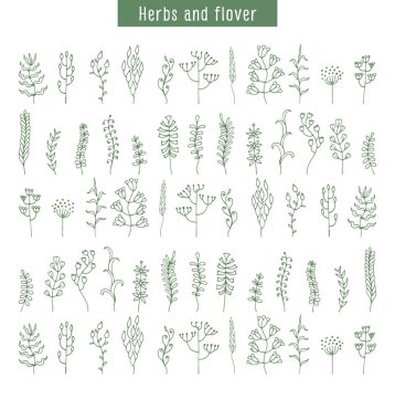 Yaban çiçekleri, otlar ve yaprakları kontur ile sezon deseni. Bitkiler ile çiçek yaz tasarımı için doku. Stilize otlar ve çiçekler seti