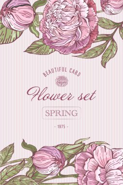 Pembe peonies ile Vintage çiçek kartları. Romantik bir arka plan. Vektör Illustration. Düğün davetiyeleri, kartlar, afiş için güzel retro tasarım.