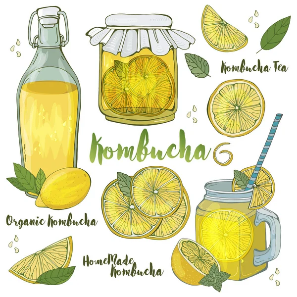 Kombucha Čajová Houba Hongo Různých Skleněných Nádobách Přirozeným Domácím Zdravým — Stockový vektor