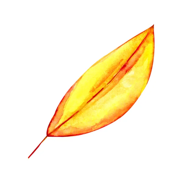Цветной акварельный осенний лист. Яркая осенняя иллюстрация на белом фоне. Деревья осени . — стоковое фото