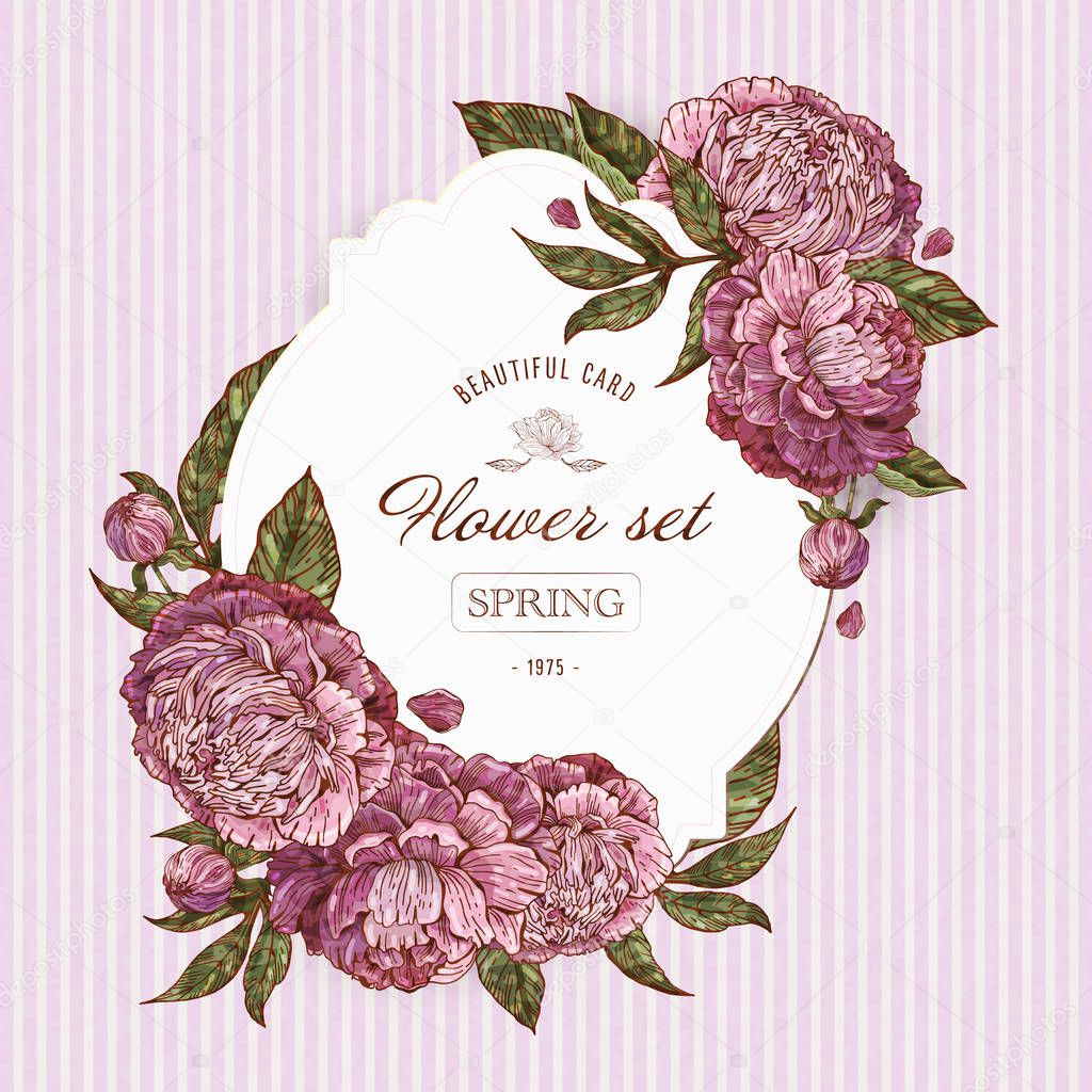 Vintage flower cards with lilac and pink peonies. Romantic background. Vector illustration. Beautiful retro design for wedding invitations, cards, banners.