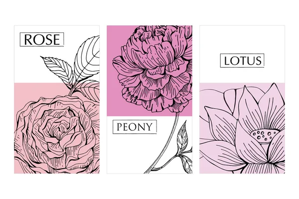Collection vectorielle d'étiquettes, d'autocollants et de cartes postales pour les produits. Bannières de fleurs dessinées à la main, roses, pivoine et lotus . — Image vectorielle