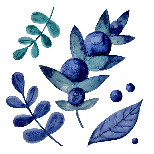 Осенняя коллекция лесных ягод акварелью. Голубая, фиолетовая черника, лесные листья. Изолированные объекты на белом фоне. Красочный, детский стиль . — стоковое фото
