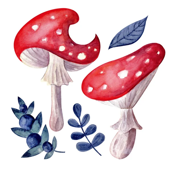 Colecție Toamnă Fructe Pădure Ciuperci Acuarelă Red Fly Agaric Afine — Fotografie, imagine de stoc