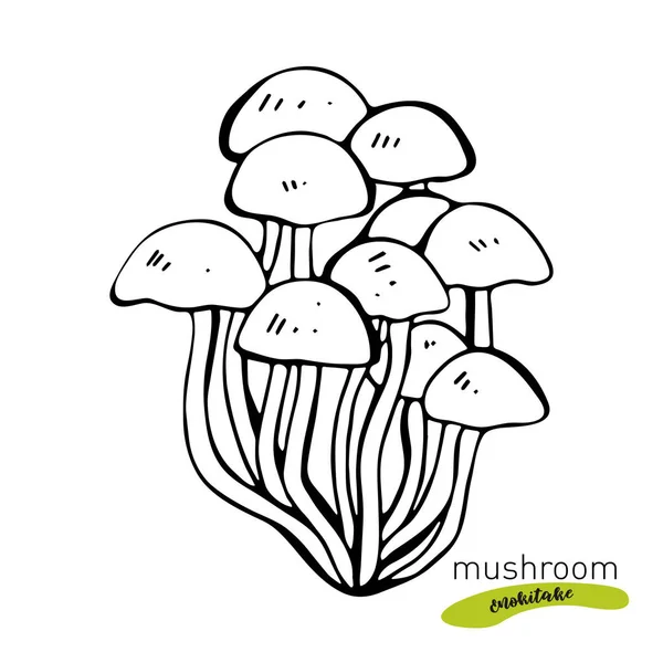 Enokitake ciuperci desenate manual ilustrație vectorială. Schiță desen alimentar izolat pe fundal alb. Produs vegetarian organic. Excelent pentru meniu, etichetă, ambalaj produs , — Vector de stoc
