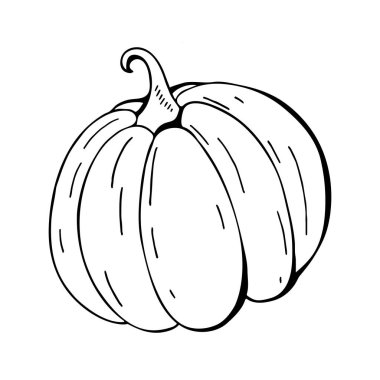 Beyaz arka planda balkabağı. Sonbahar Cadılar Bayramı veya şükran kabak, sebze grafik simgesi veya baskı. Tek renkli çizgi çizimi. Vektörbeyaz arka plan üzerinde yalıtılmış nesne. Siyah beyaz